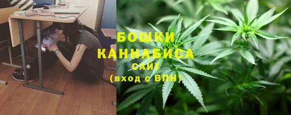 apvp Коряжма