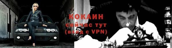 тгк Козельск