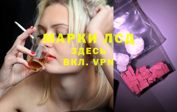 apvp Коряжма