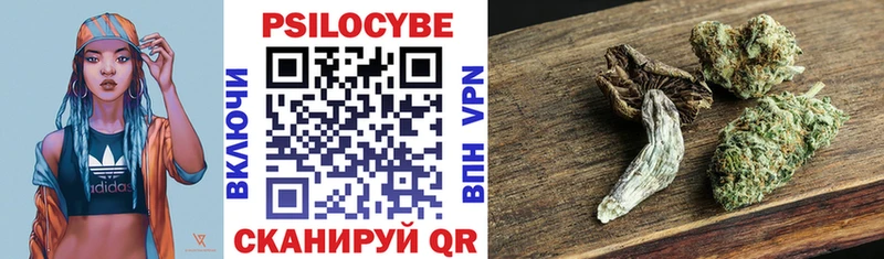 закладки  Кремёнки  Псилоцибиновые грибы мухоморы 